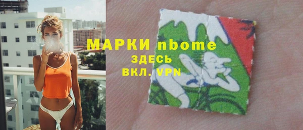 стаф Горняк