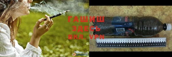 стаф Горняк