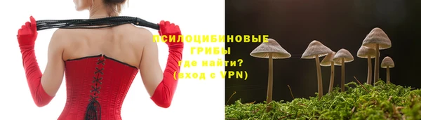 стаф Горняк