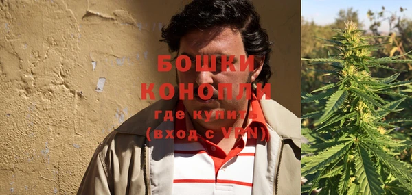 стаф Горняк