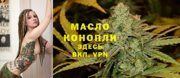 стаф Горняк