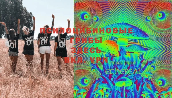 стаф Горняк