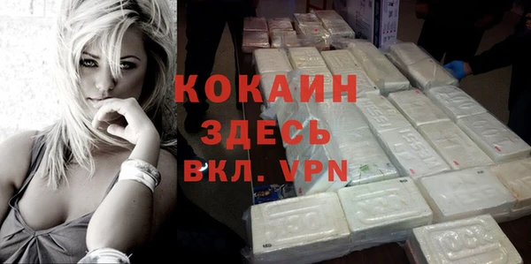 стаф Горняк